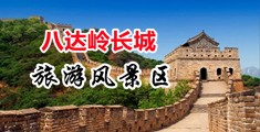 啊啊啊射出来了软件下载中国北京-八达岭长城旅游风景区